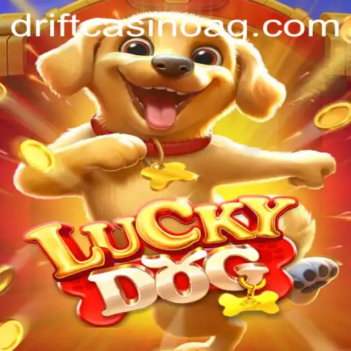 LuckyDog: A Fresh Play on Online Gaming with gaylads.bet
